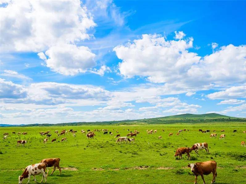 内蒙古风光掠影