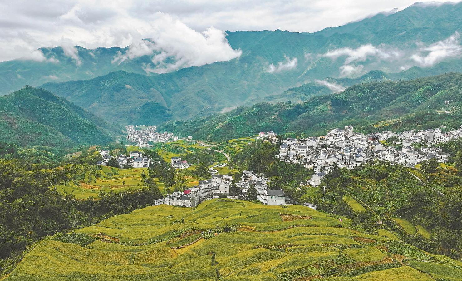 安徽，历史长河中的璀璨瑰宝