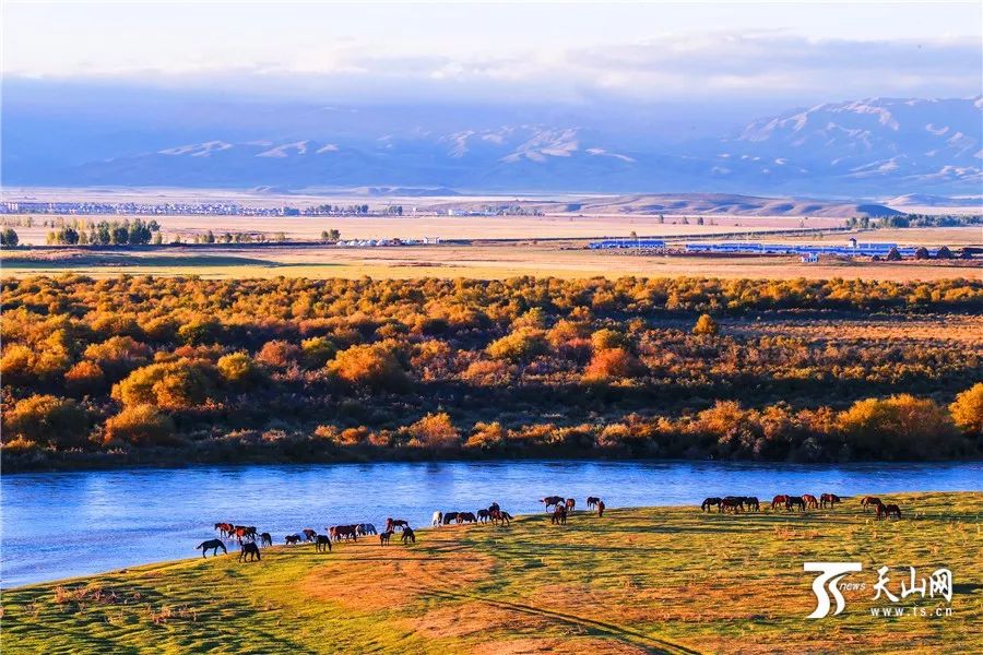 新疆，嘉宾云集，观众热情如火