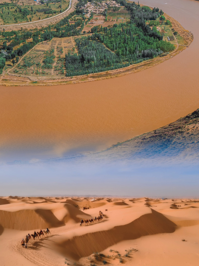 宁夏阳光下的友情故事，甜蜜陪伴的篇章