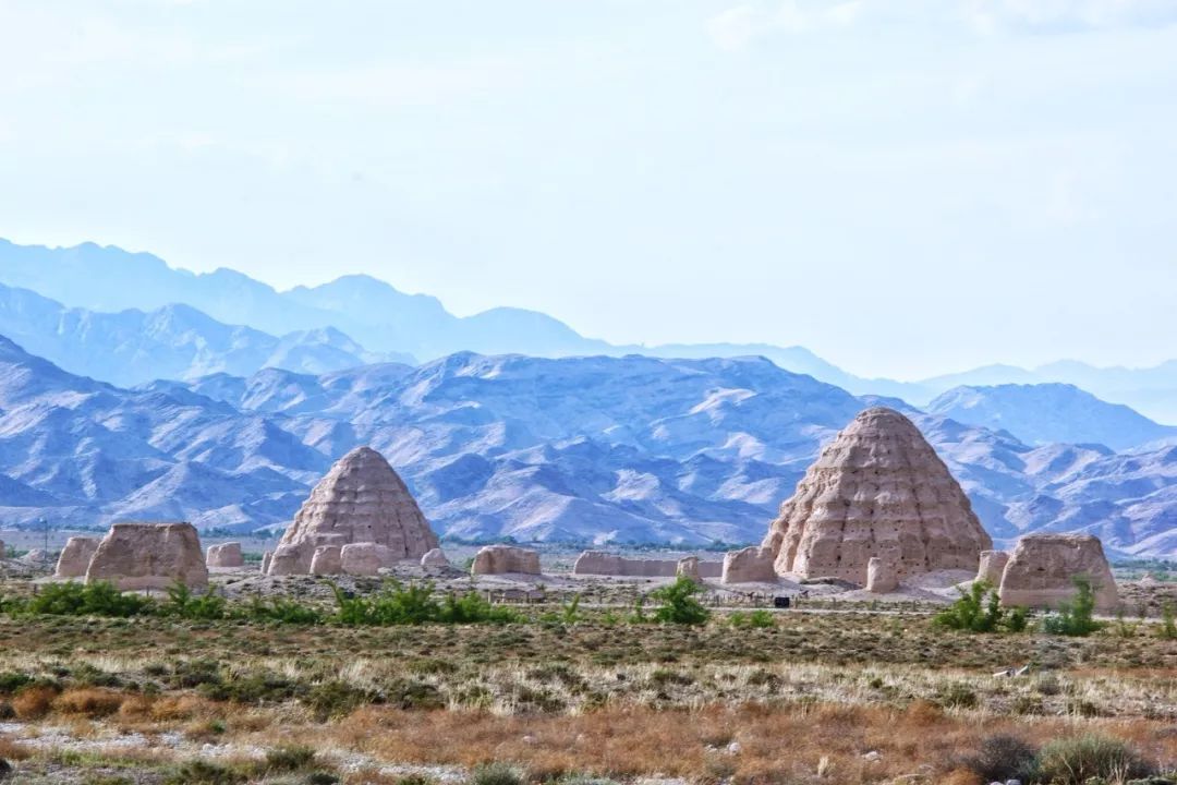 宁夏阳光下的友情故事,甜蜜陪伴的篇章