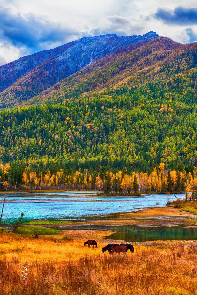 西域新疆，行吟之旅